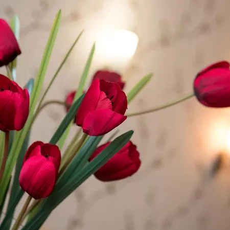 Family Prestige Hotel 3*